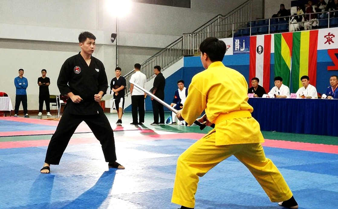 Ba nhánh võ thuật và cái giá của một bản phân tích rỗng