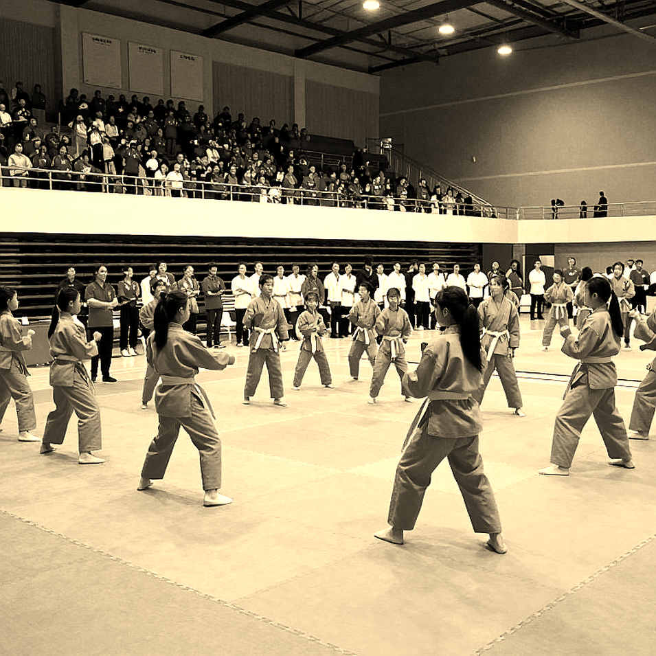 Poomsae Việt Nam vô địch thế giới 2026: Trục Phụng và bài kiểm định Chuncheon