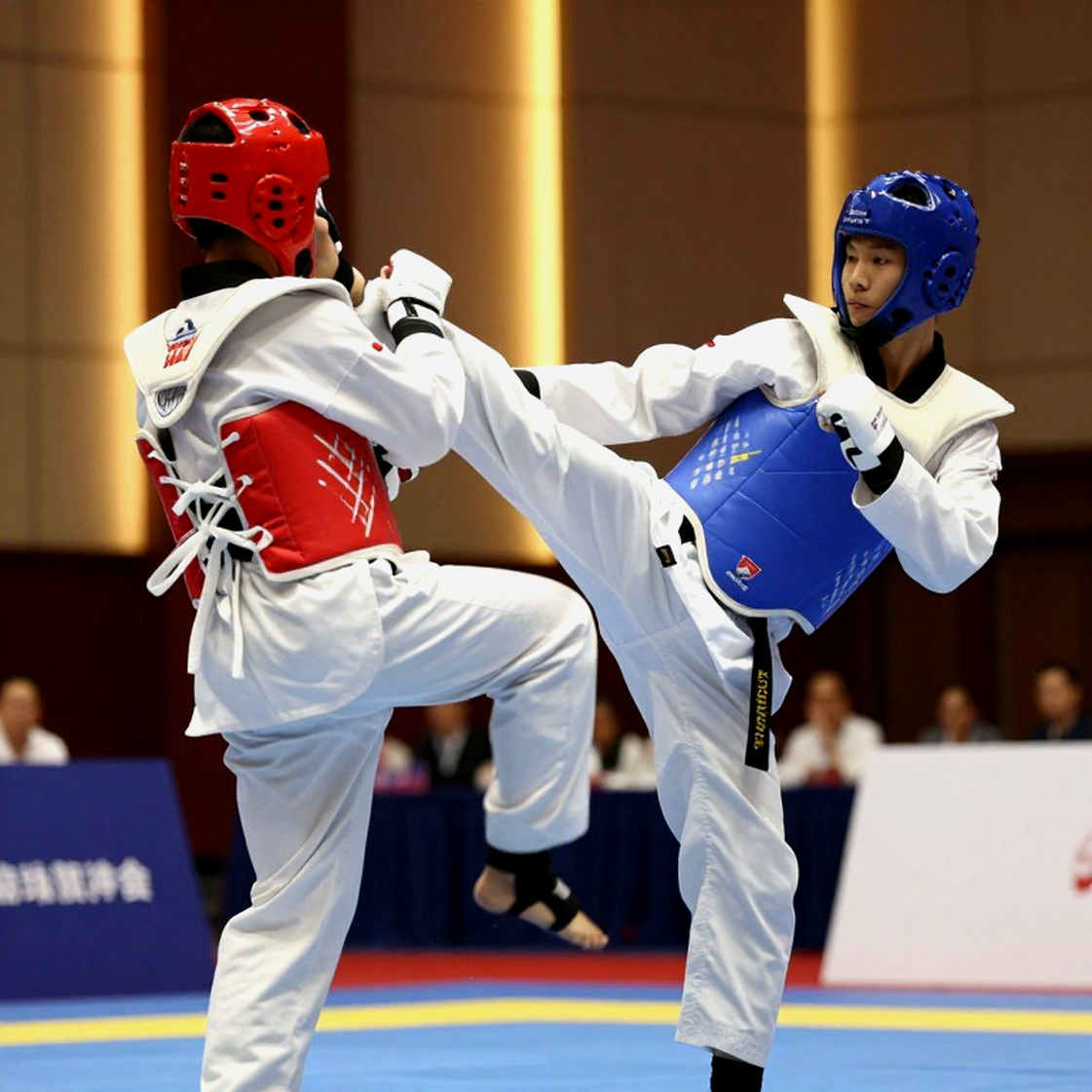Võ thuật Việt Nam bước vào mùa giải mới: khoảng trắng trong hồ sơ và cái bẫy của sự im lặng Võ thuật Việt Nam bước vào mùa giải mới: khoảng trắng trong hồ sơ và cái bẫy của sự im lặng