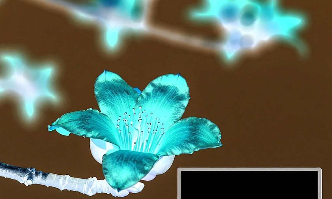 Faker's Health Absence: The Breaking Point Is the Calendar, Not the Wrist Faker's Health Absence: The Breaking Point Is the Calendar, Not the Wrist